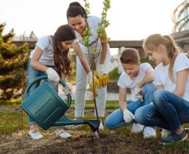 Preventing-Tree-Problems-Before-They-Happen-Thumb-390x318_optimize