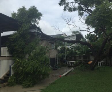 Brisbane Tree Worx - ashgrove storm damage