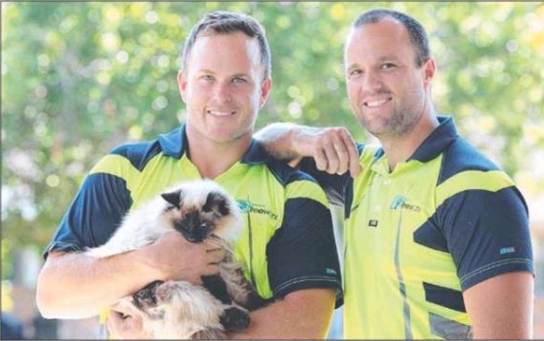 Cat rescue image - Brisbane Treeworx providing services in Queensland