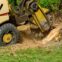 Protect Property from Pest with Stump Grinding in Brisbane