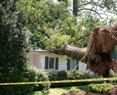 Storm tree removal