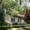 Storm tree removal