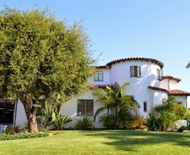 Boost property value with tree care