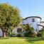 Boost property value with tree care