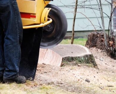 stump removal