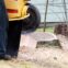 stump removal