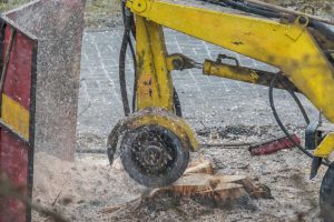 When should you consider stump grinding
